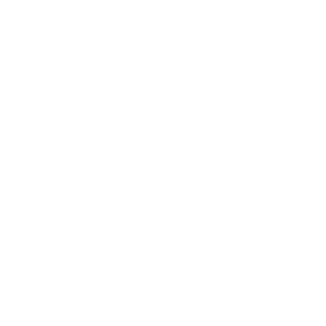 logo-mille
